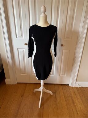 Autumn Cashmere Black Dress with White Side Panels